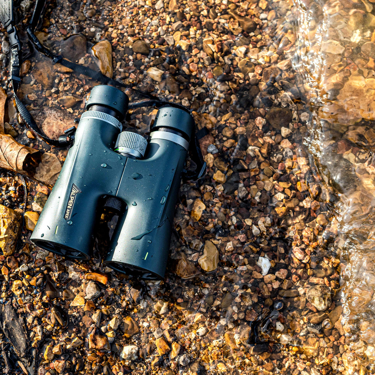 Alpen Apex 10x50 Binoculars