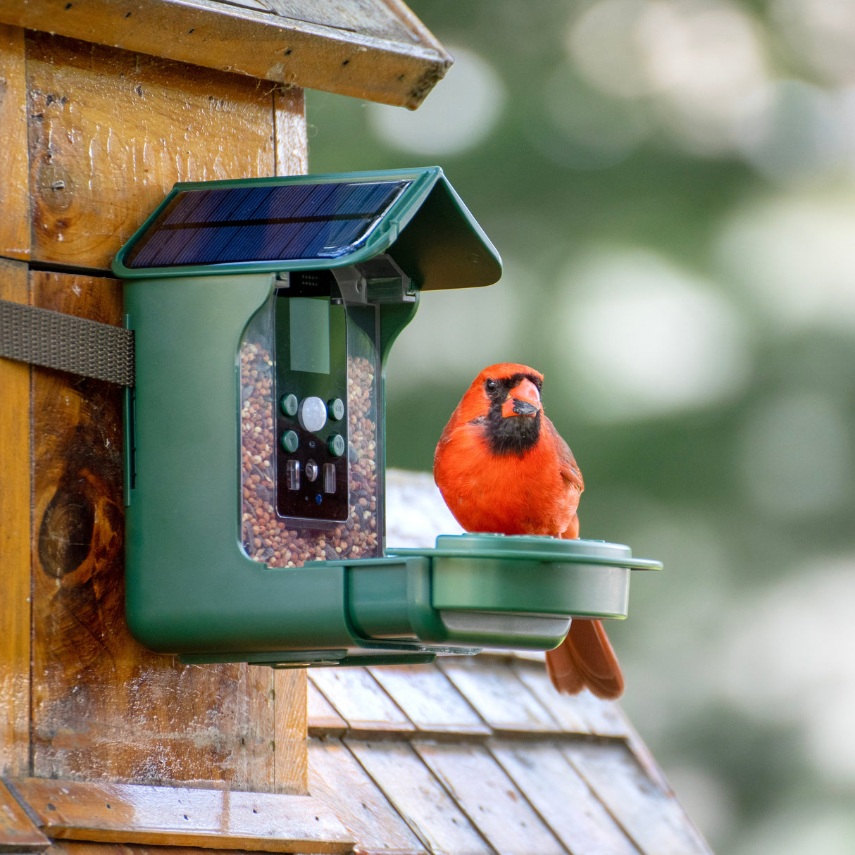 Explore Scientific Wild Bird Feeder Wi-Fi Camera  88-40004