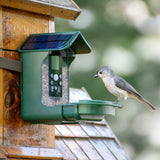 Explore Scientific Wild Bird Feeder Wi-Fi Camera  88-40004