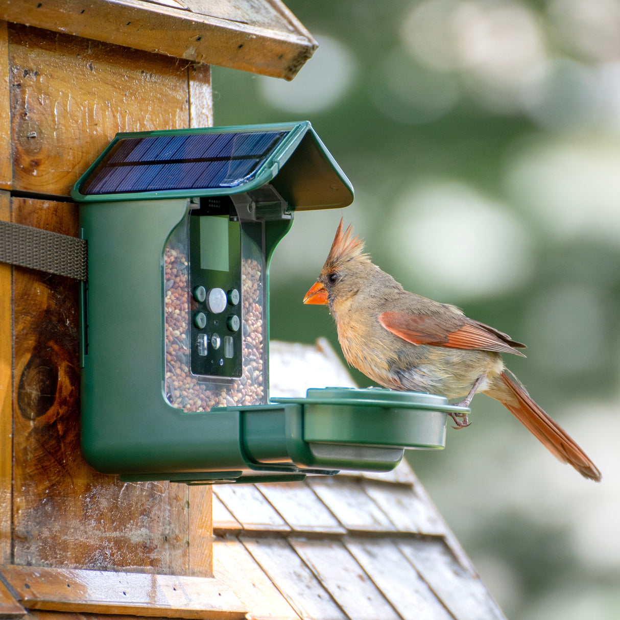 Explore Scientific Wild Bird Feeder Wi-Fi Camera  88-40004