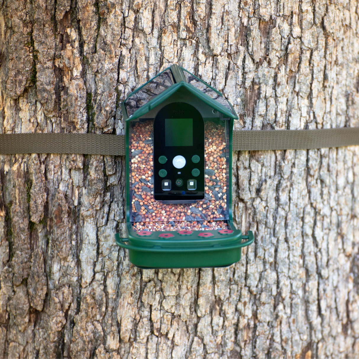 Explore Scientific Wild Bird Feeder Wi-Fi Camera  88-40004