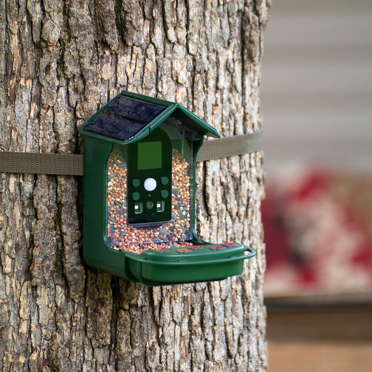 Explore Scientific Wild Bird Feeder Wi-Fi Camera  88-40004